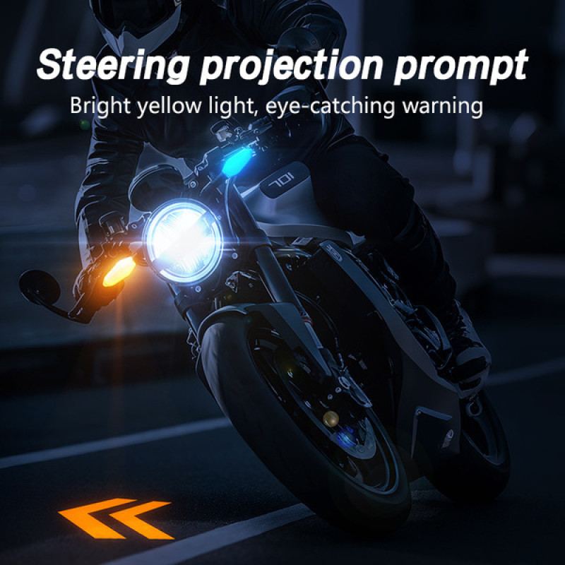 projection turn signal Indicator এক জোড়া
