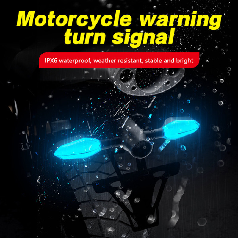 projection turn signal Indicator এক জোড়া